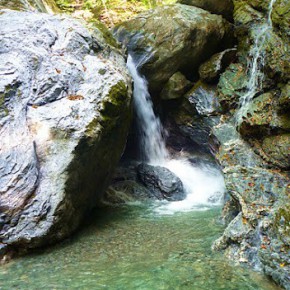 四国 カンカケ沢 三嶺&剣山 2011/10/8-10 四国 カンカケ沢 三嶺&剣山 2011/10/8-10