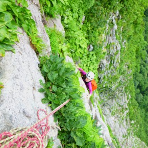 黒伏山 南壁 中央ルンゼ 2014/7/12-13 黒伏山 南壁 中央ルンゼ 2014/7/12-13