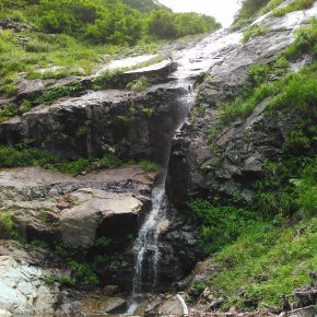 魚野川荒沢 2016/7/31 魚野川荒沢 2016/7/31