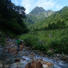 大源太山αルンゼ 2018/8/19 大源太山αルンゼ 2018/8/19