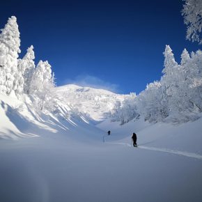 八甲田山スキー 2018/12/31-2019/1/1 八甲田山スキー 2018/12/31-2019/1/1