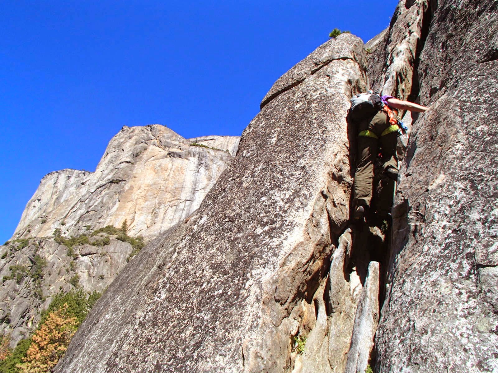 アメリカ ヨセミテバレー・トゥオルミメドウズ 2014/6/14-29 | ぶなの会