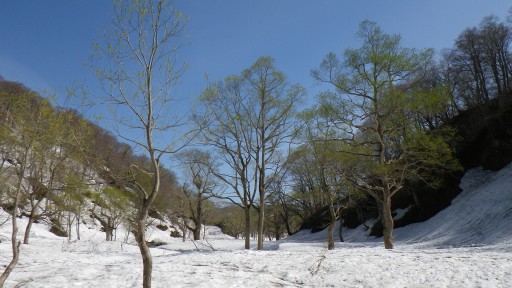 IMGP1553