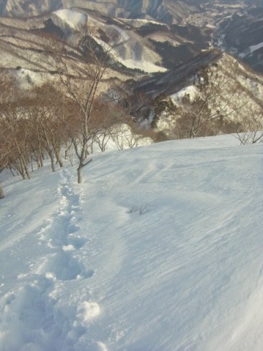 登ってきた尾根を振り返る。