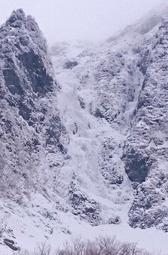 ノコ沢氷柱全景 (2)