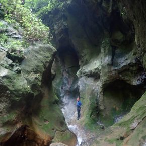 大沢川(草津白根山)2020/7/19 大沢川(草津白根山)2020/7/19