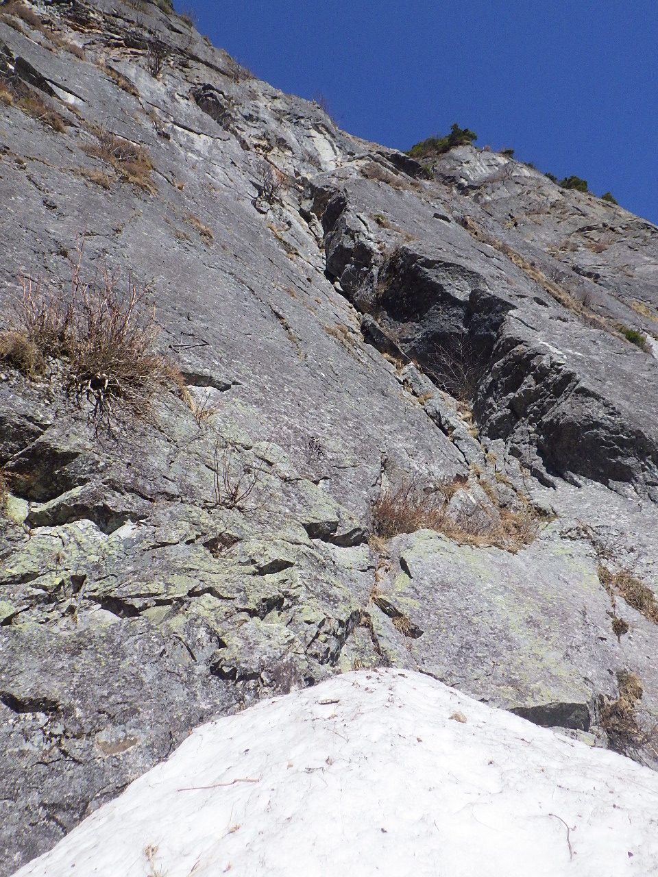 掛軸 2点　雪峰　陵雲 XLT127